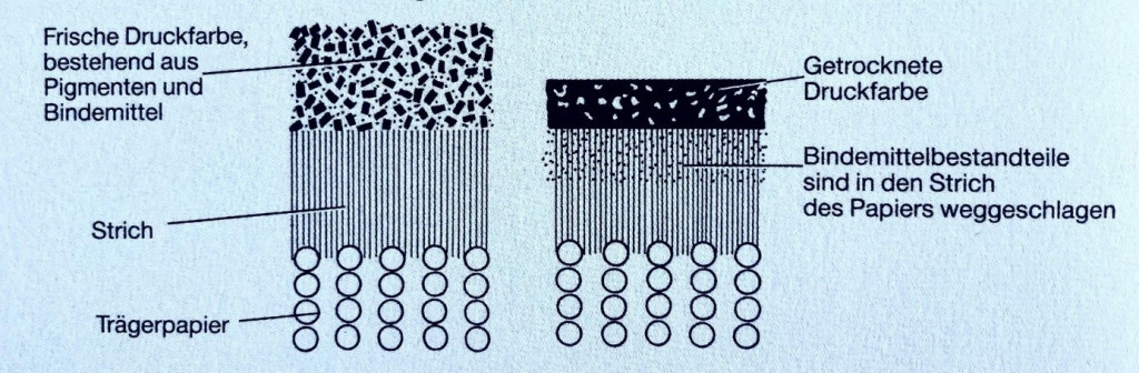 Auf der linken Seite des Bildes ist oben die frische Druckfarbe, bestehend aus Pigmenten und Bindemitteln abgebildet, darunter der Strich und darunter das Trägerpapier. Auf der rechten Seite des Bildes ist oben die getrocknete Druckfarbe abgebildet, darunter Bindemittelbestandteile sind in den Strich des Papiers weggeschlagen